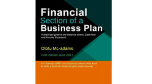 Financial Section of a Business Plan Book by Olofu Mcadams
